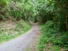 
Tunnel Gully leaving Maymorn, January 2013